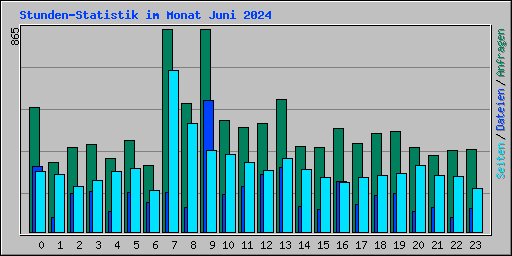 Stunden-Statistik im Monat Juni 2024