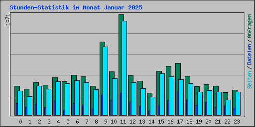 Stunden-Statistik im Monat Januar 2025